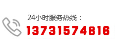 13731574816
